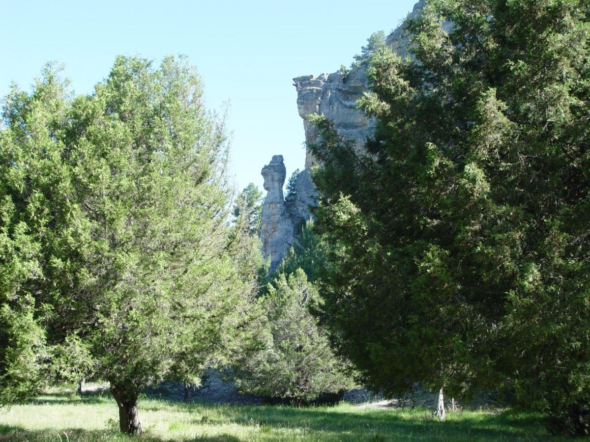 Puerta Del Canon 1 *